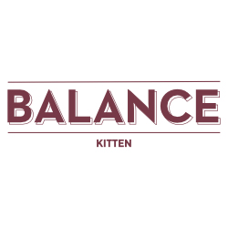 balance kitten kibbus