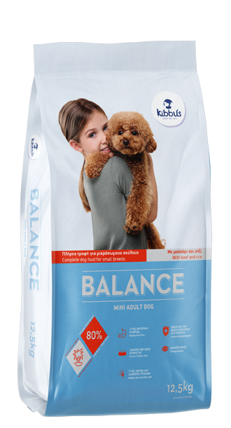 Kibbus balance